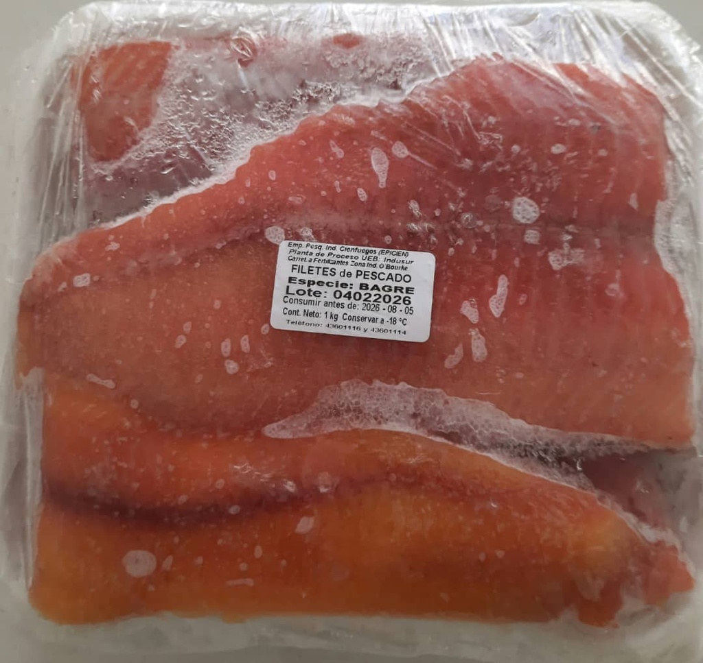 FILETE DE BAGRE CONGELADO.                     ( Envase 1 kg)